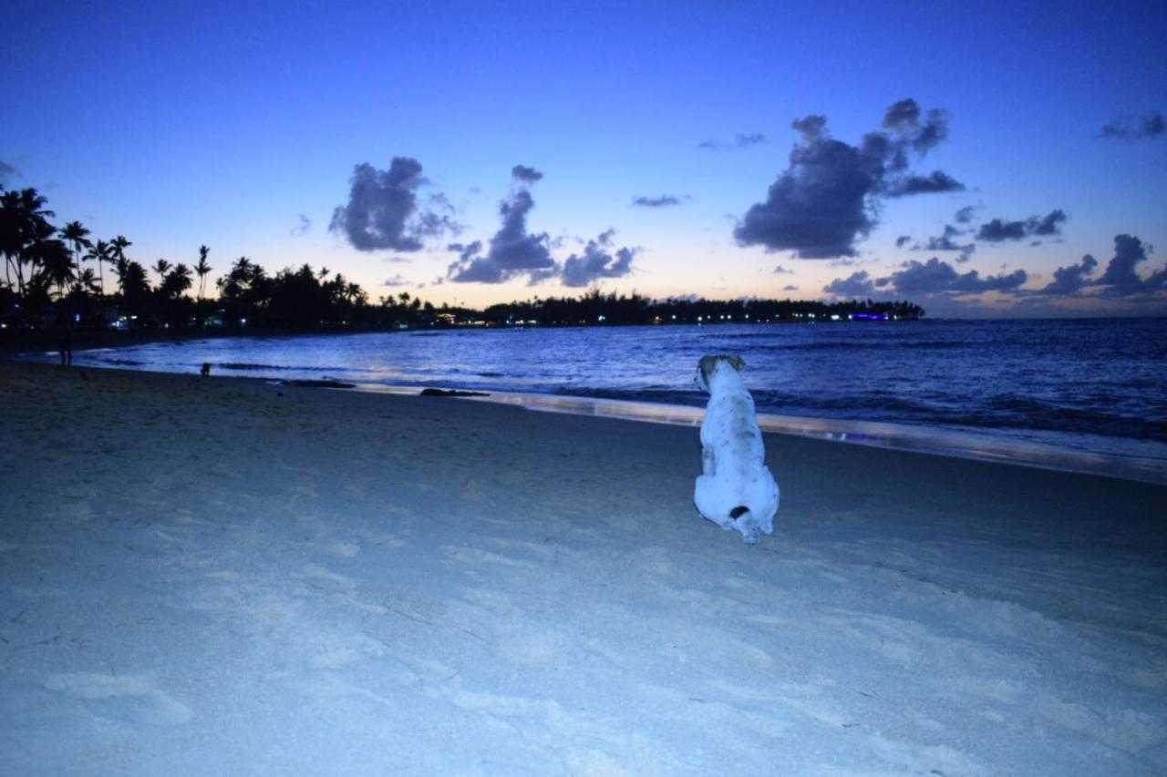 La Dolce Vita Beachfront Hotels, Las Terrenas, Samana Bagian luar foto